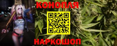 индика Конаково