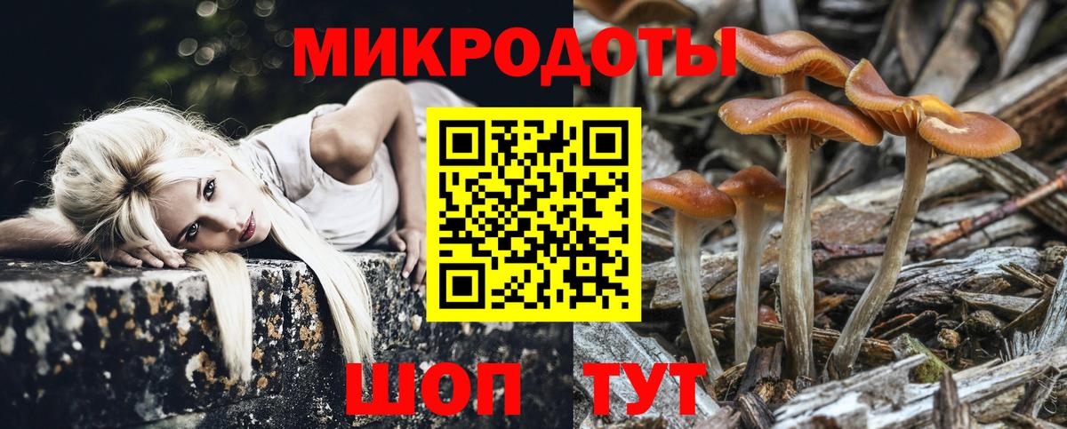 Галлюциногенные грибы мицелий Качканар